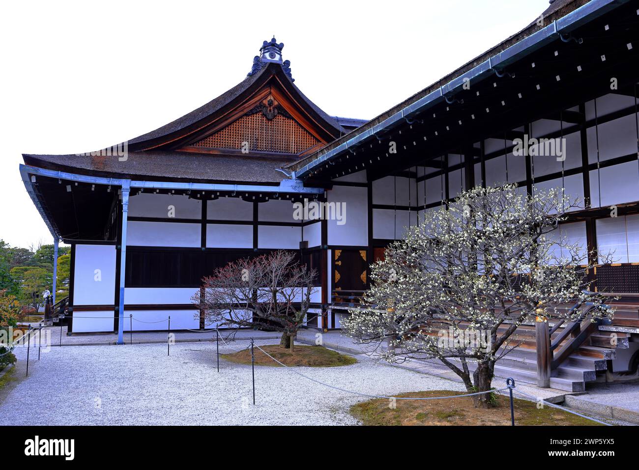 Palazzo Imperiale di Kyoto (Giardino Nazionale di Kyoto Gyoen) ex residenza della famiglia imperiale a Kyotogyoen, Kamigyo Ward, Kyoto, Giappone Foto Stock