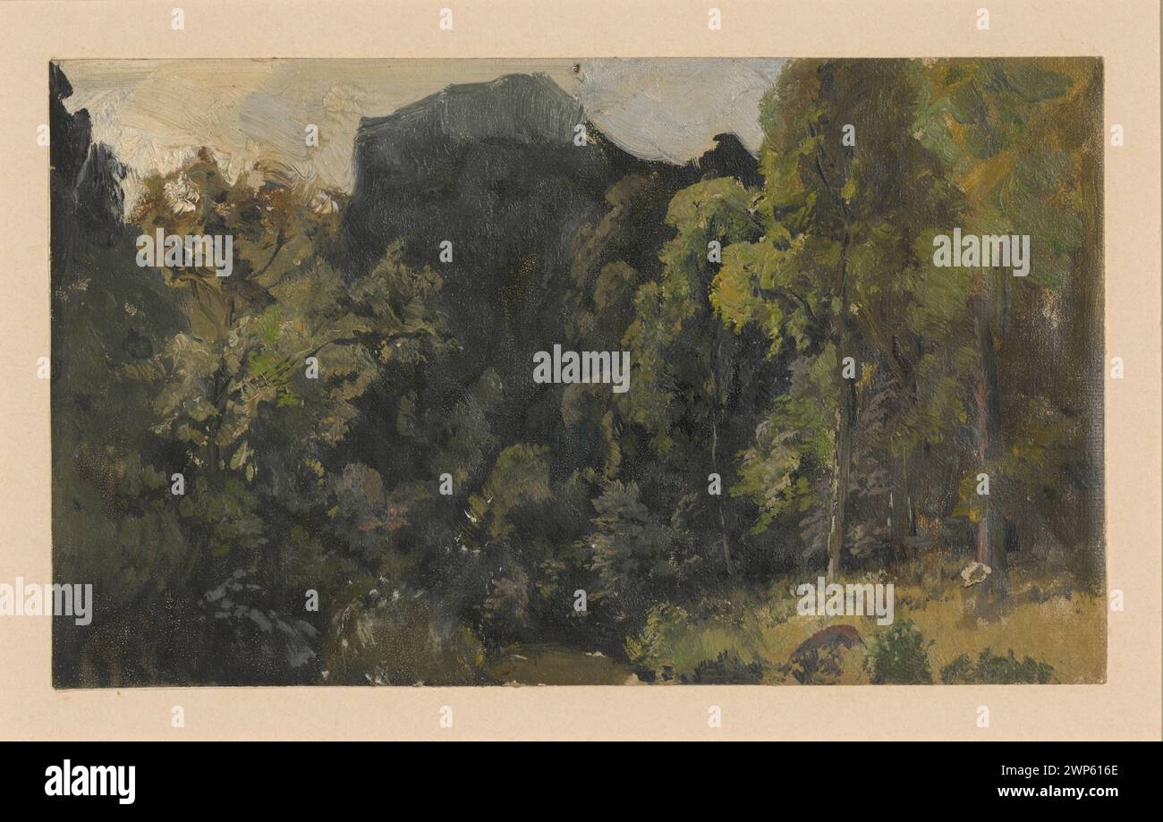 Raffigura il torrente nella valle dello Szczawnik nella piccola Polonia, con paesaggi boschivi, torrenti di montagna e valli, disegnato da Adolf Dressler tra il 1850 e il 1881, parte della collezione Schlesisches Museum der Bildenden Künste. Foto Stock