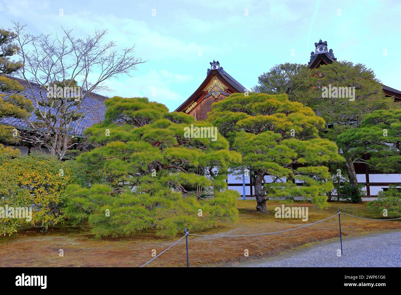 Palazzo Imperiale di Kyoto (Giardino Nazionale di Kyoto Gyoen) ex residenza della famiglia imperiale a Kyotogyoen, Kamigyo Ward, Kyoto, Giappone Foto Stock
