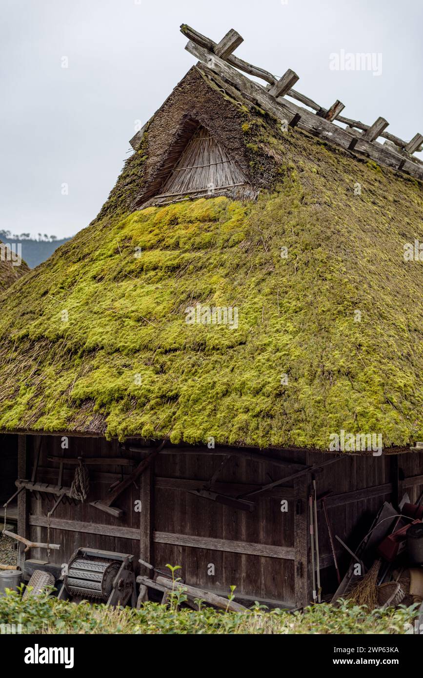 Tradizionali case con tetto in paglia del villaggio di Miyama nella prefettura di Kyoto in Giappone, realizzate utilizzando la tecnica di copertura in erba di kayabuki, un culto immateriale dell'UNESCO Foto Stock
