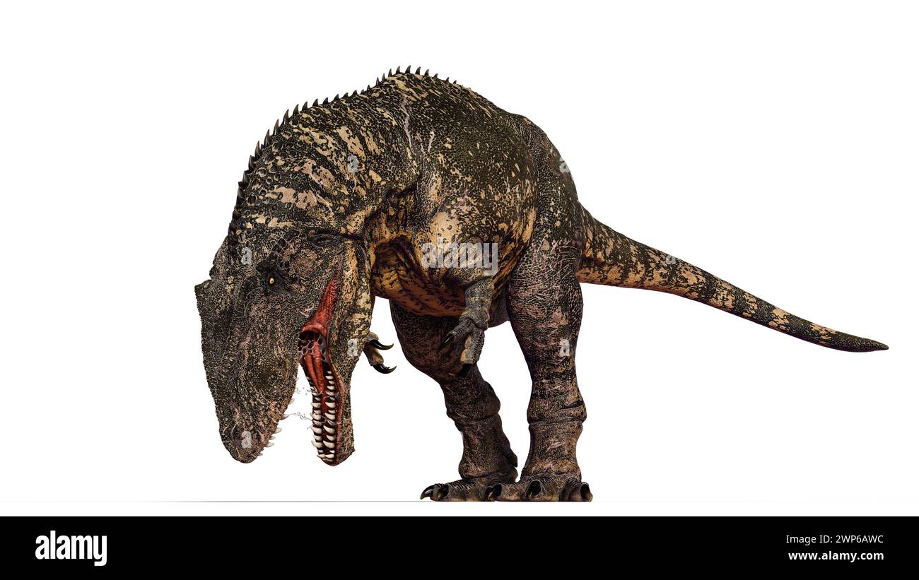 Gigantosaurus è un genere dubbio di dinosauro sauropode della formazione Kimmeridge Clay del Giurassico superiore in Inghilterra. Foto Stock
