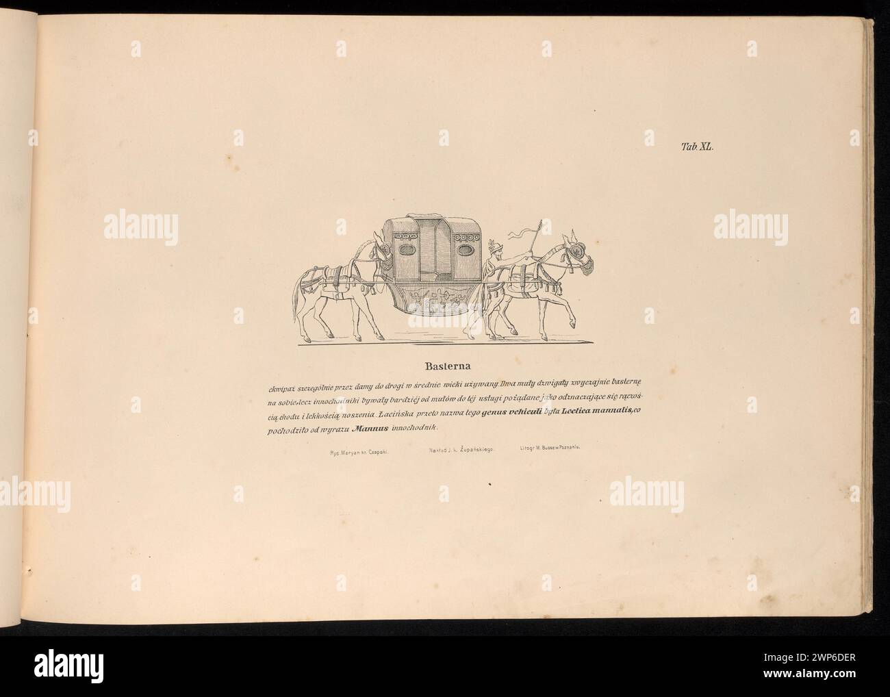 Illustrazione di una basterna, un tipo di carrozza trainata da cavalli usata nel Medioevo, creata da Michał Busse e collaboratori a Poznań intorno al 1876. Foto Stock