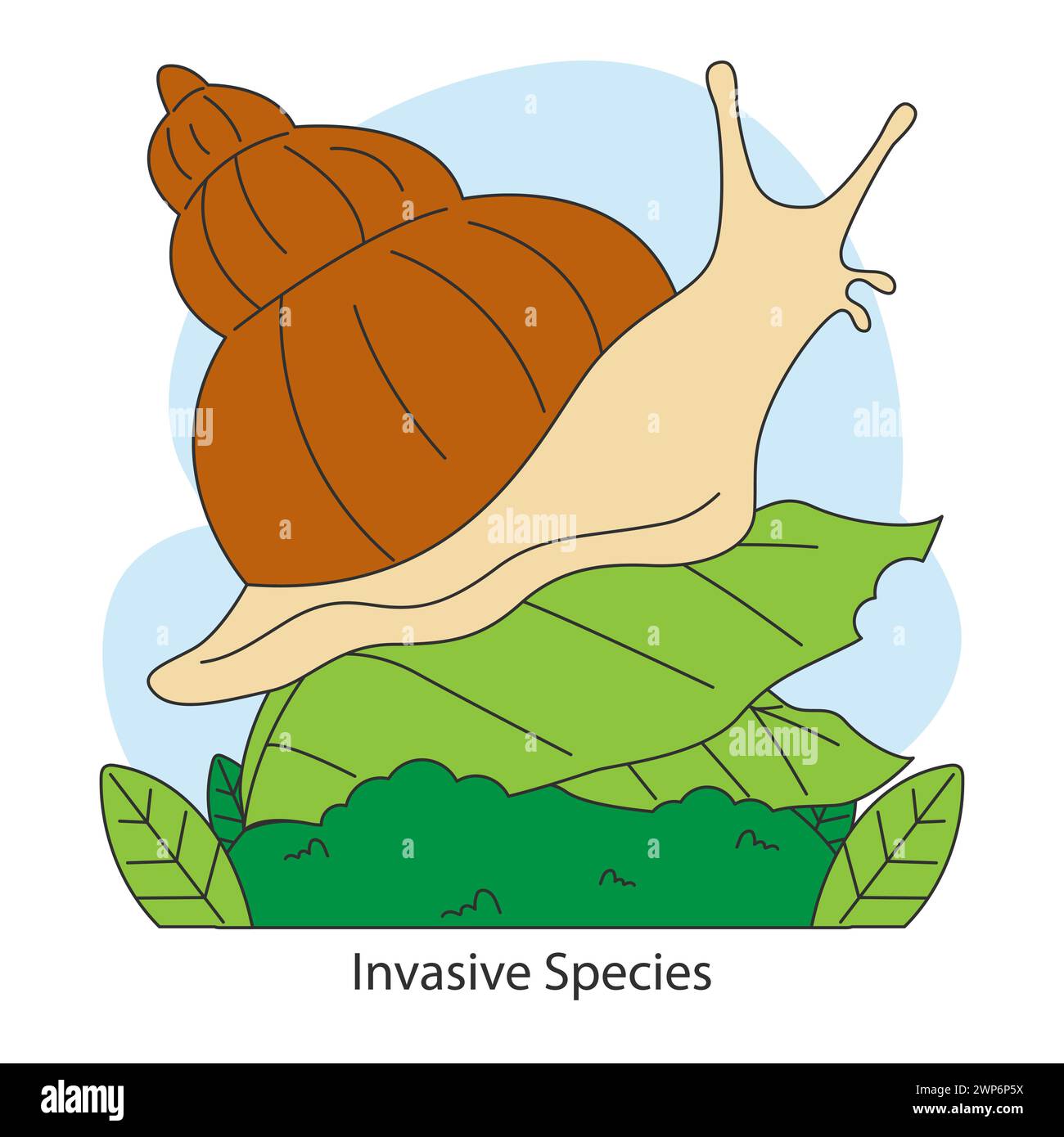 Minaccia per specie invasive. Lumaca come organismo non nativo che influisce sugli habitat naturali. Perturbazione della biodiversità. Illustrazione vettoriale piatta. Illustrazione Vettoriale