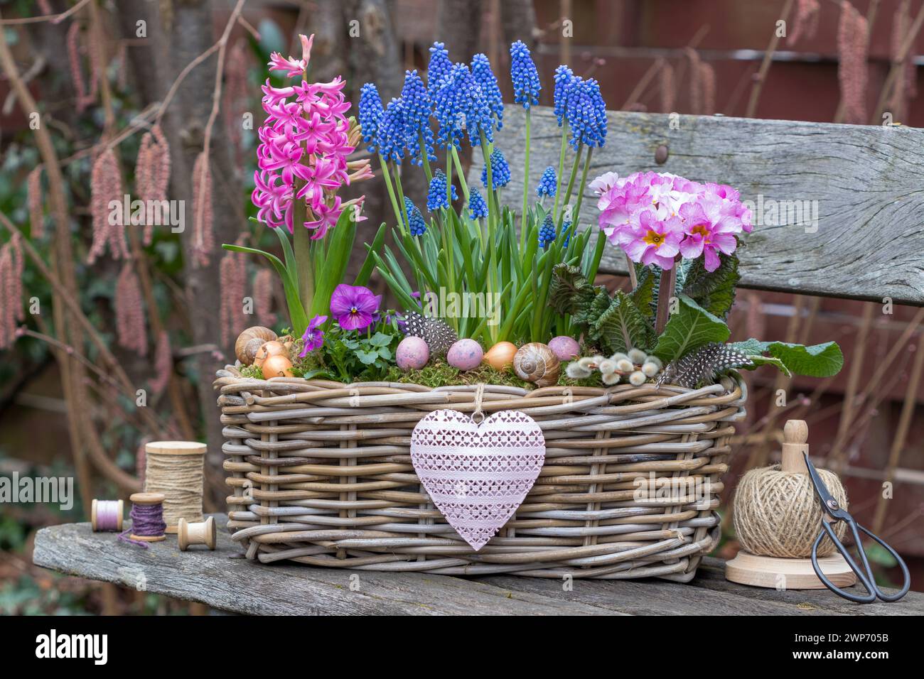sistemazione in giardino con fiori primaverili rosa e blu in un cestino Foto Stock