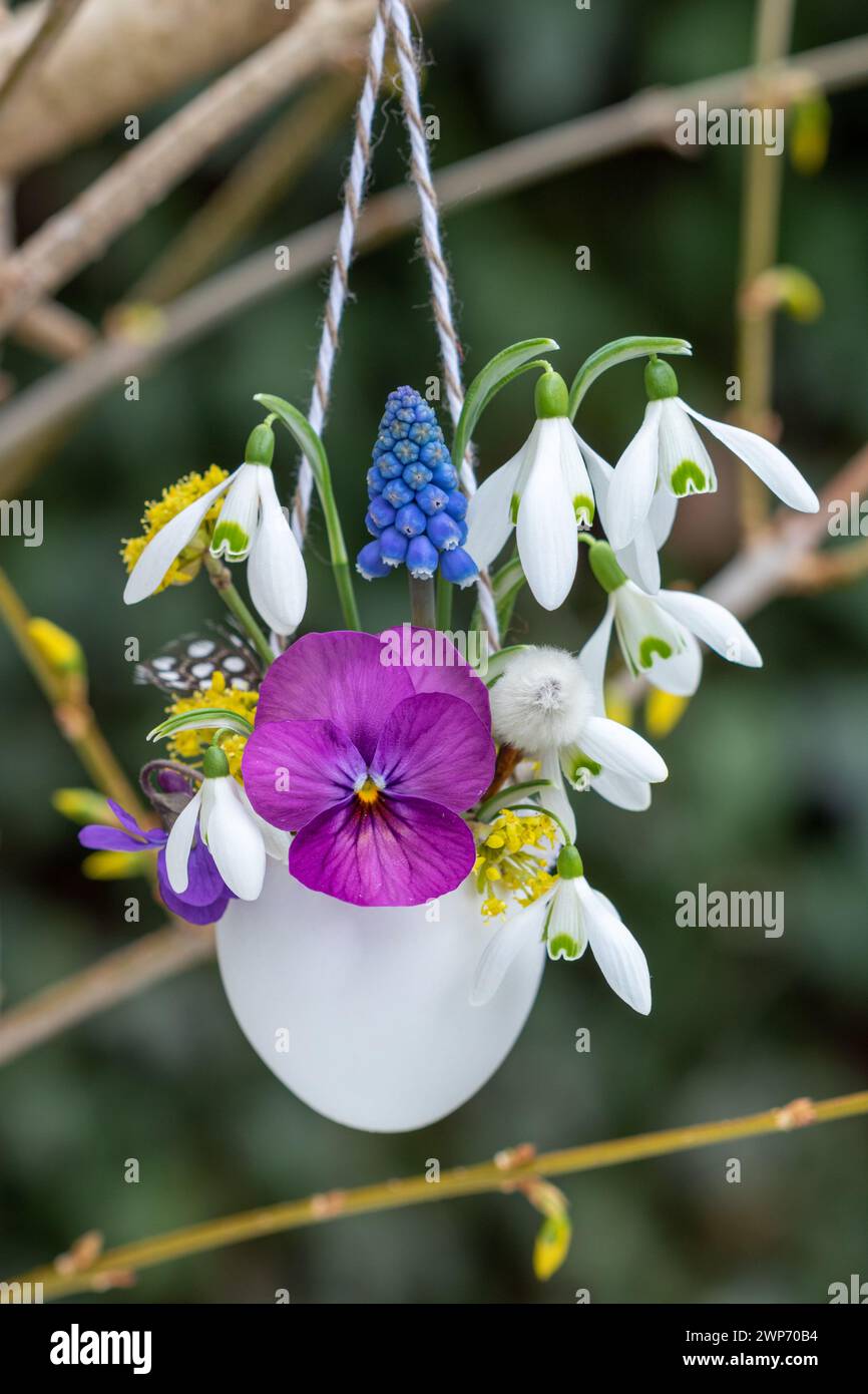 un uovo decorato con fiori viola, gocce di neve e giacinto d'uva e appeso nel giardino Foto Stock