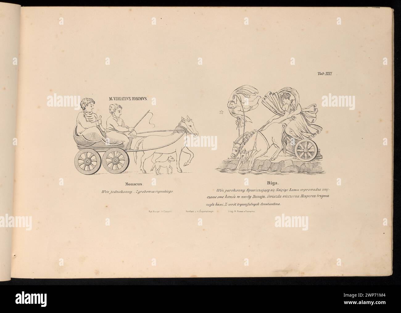 Un'illustrazione litografica del 1876 che mostra il Monacus Biga, un'auto romana a cavallo singolo, creata da Michał Busse e collaboratori di Poznań. Foto Stock