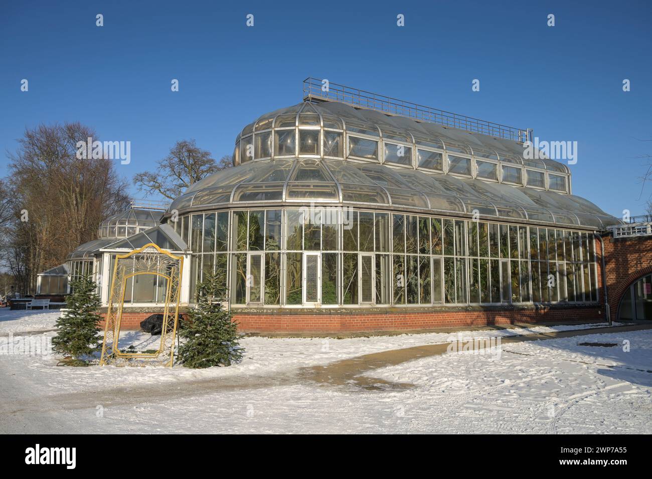 Gewächshaus Afrikanische Sukkulenten, Botanischer Garten, Lichterfelde, Steglitz-Zehlendorf, Berlino, Deutschland Foto Stock