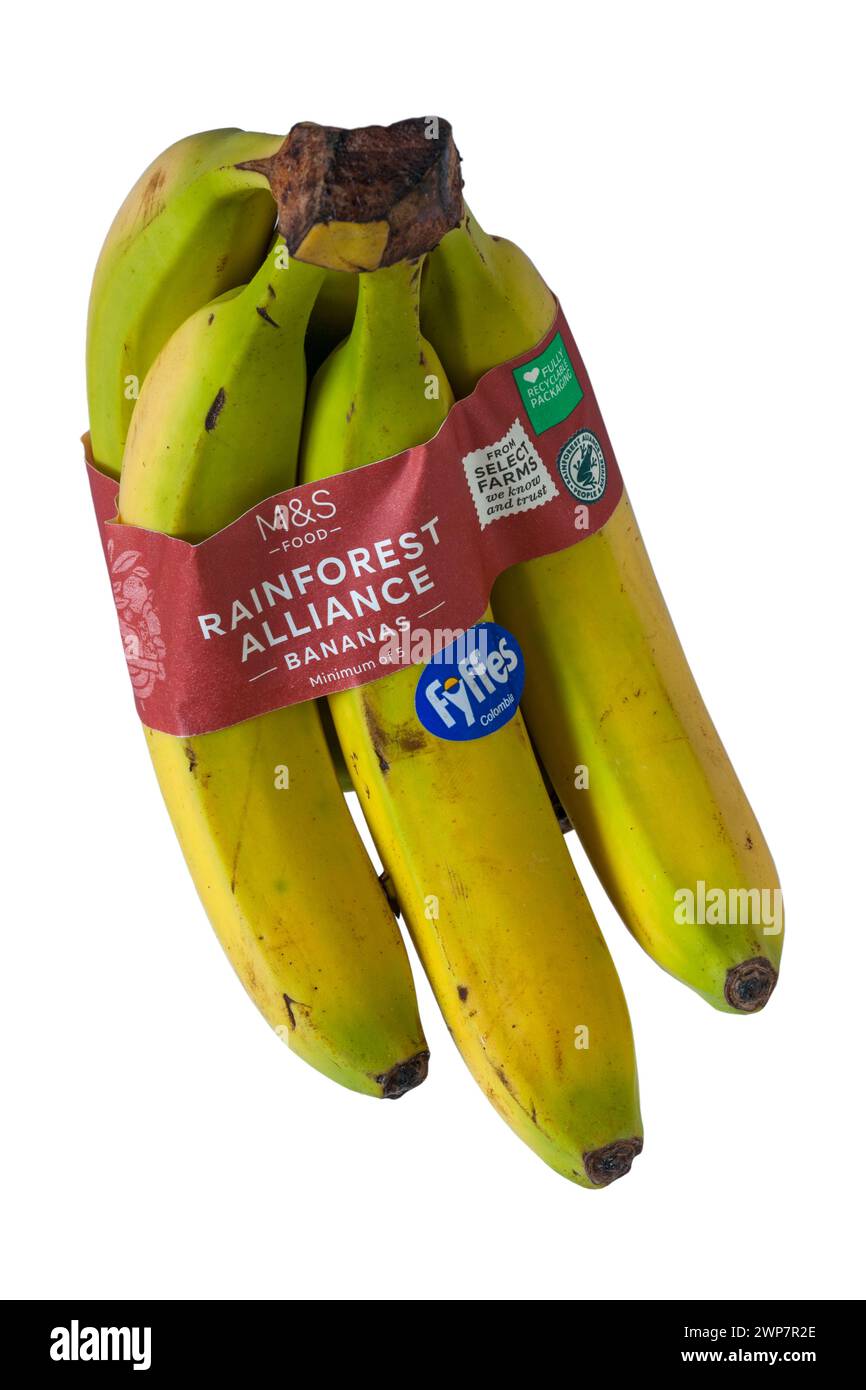 Mazzo di banane Rainforest Alliance di M&S, confezione completamente riciclabile, isolata su sfondo bianco Foto Stock