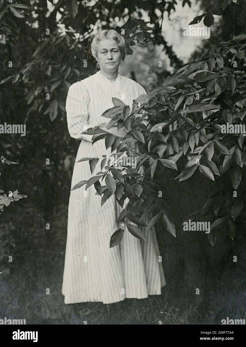 FLORENCE BAILEY (1863-1948) ornitologo e scrittore americano intorno al 1916 Foto Stock