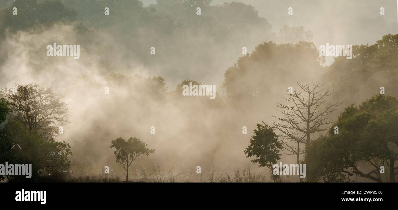 Paesaggio nebbioso con foresta e fiume. Splendido paesaggio naturale nel sud-est asiatico foresta tropicale con montagne sullo sfondo, nebbia nebbiosa Foto Stock