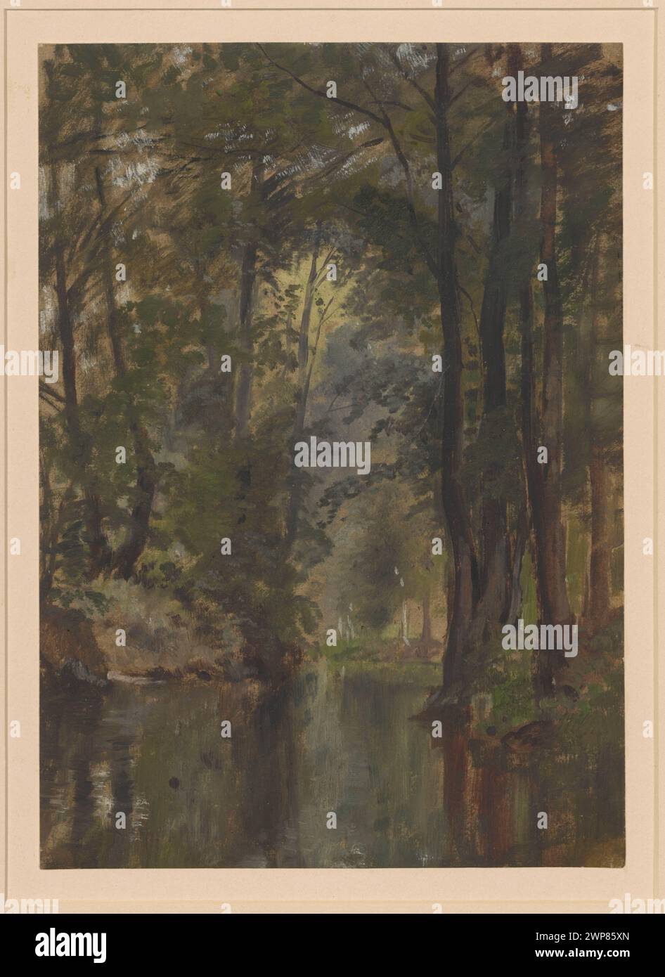 Raffigura alberi lungo i fiumi nella regione della Spreewald in Germania, mostrando paesaggi fluviali, disegnati da Adolf Dressler prima del 1881, parte della collezione Schlesisches Museum der Bildenden Künste. Foto Stock