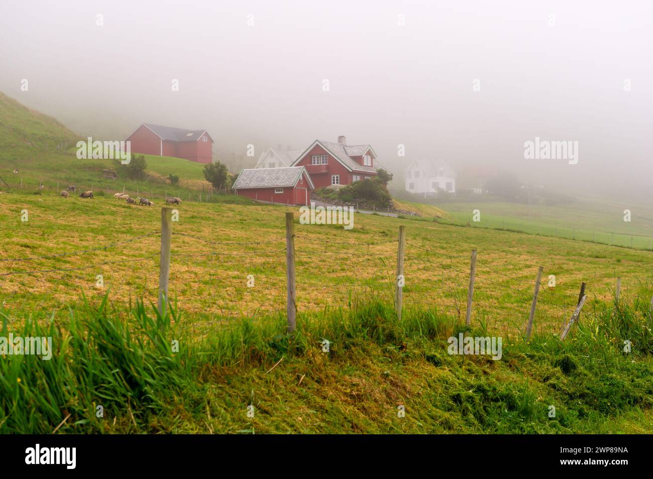 Remote case rurali norvegesi in una mattina nebbiosa a Runde Island, Norvegia Foto Stock