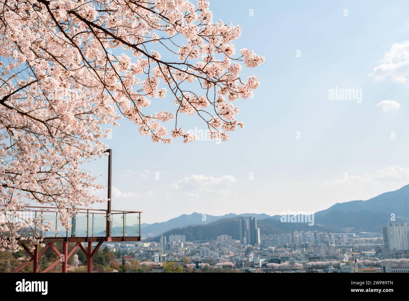 Vista della città di Miryang dall'osservatorio al chiaro di luna del parco Ssamji in primavera a Miryang, Corea Foto Stock