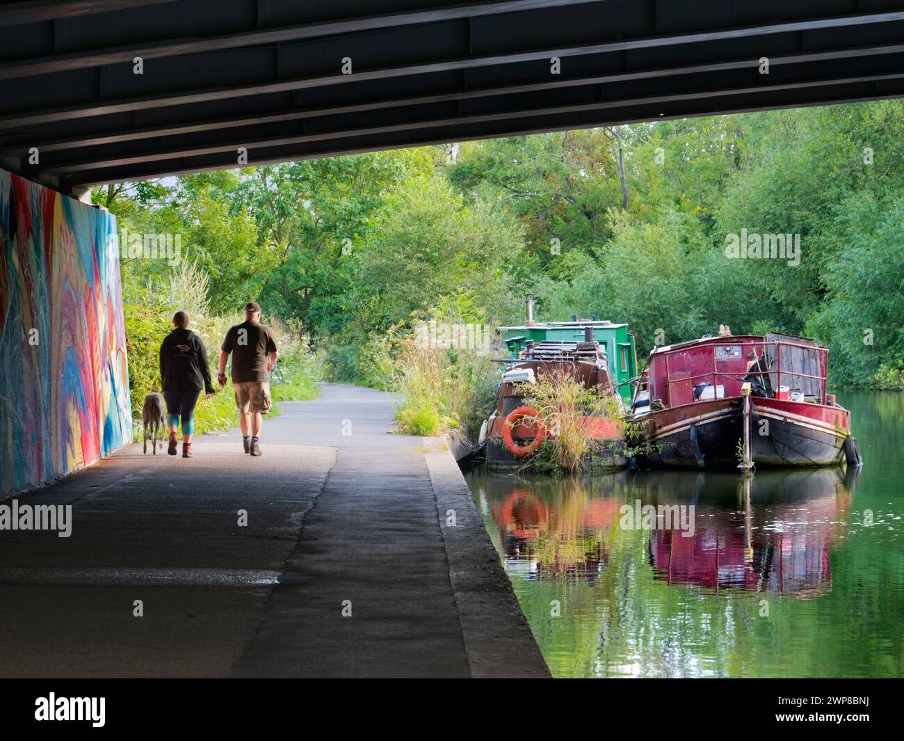 E' presto in una mattina d'estate, e io vado a fare una passeggiata tutti i giorni. Sono sotto un vecchio ponte sul fiume Tamigi a Kennington, nell'Oxfordshire. Se davvero vuoi Foto Stock