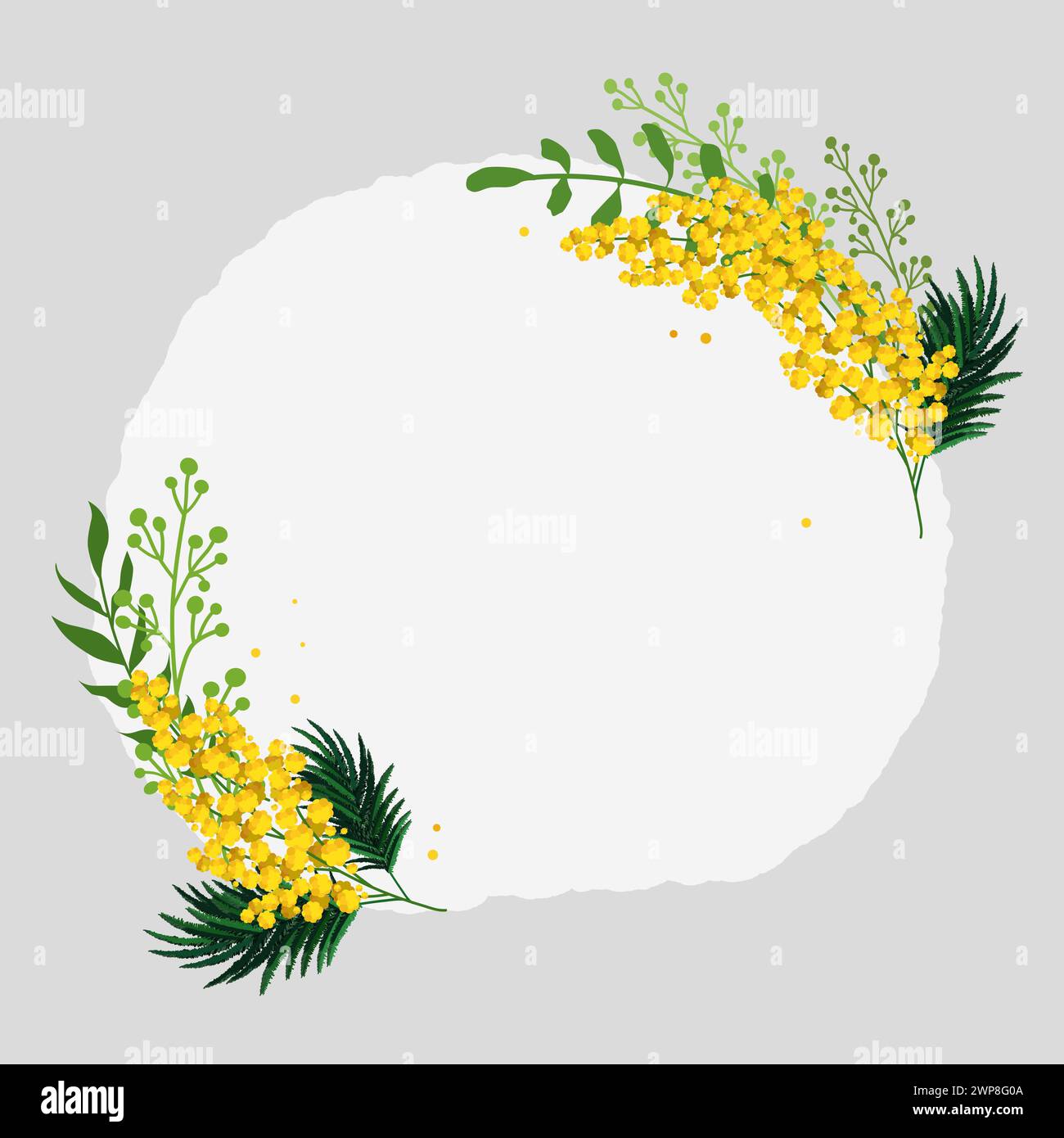 Cornice grigia rotonda primavera con tulipani gialli e mimosa per parole e testo. Modello di sfondo vettoriale con fiori per design, biglietto d'auguri, banner, b Illustrazione Vettoriale