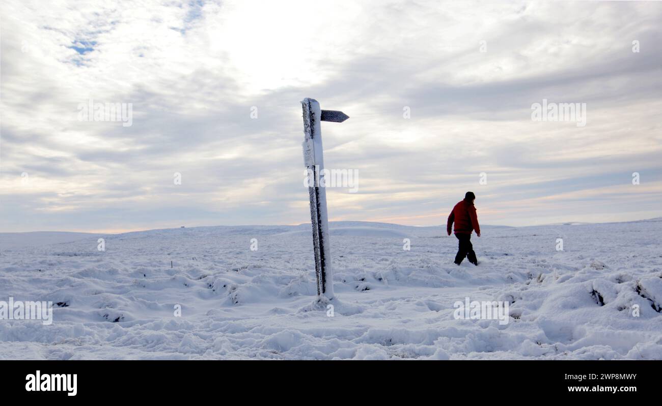 16/01/13 Un uomo fatica a camminare nella neve profonda sull'Axe Edge Moor, vicino a Buxton nel Derbyshire. Tutti i diritti riservati - F Stop Press. www.fstoppress.com. Foto Stock