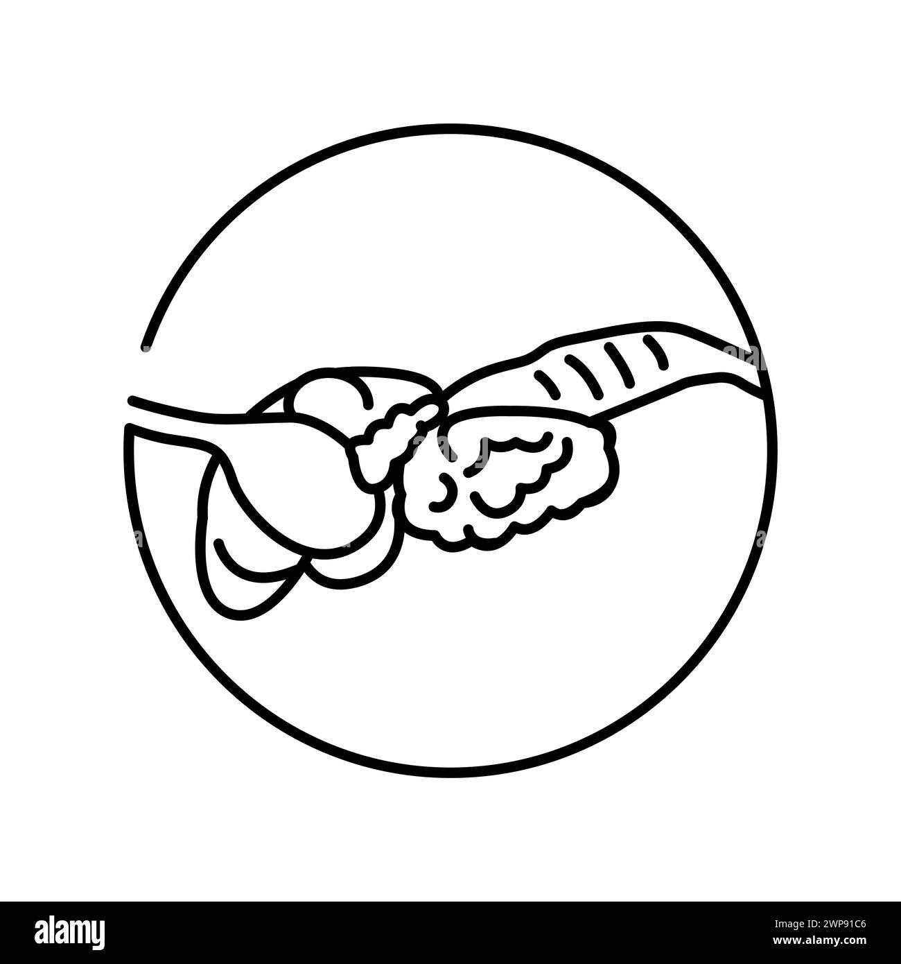 Icona della linea di colore dell'anatomia dell'organo del cane. Organizzazione nell'organismo. Elemento isolato vettore. Tratto modificabile. Illustrazione Vettoriale