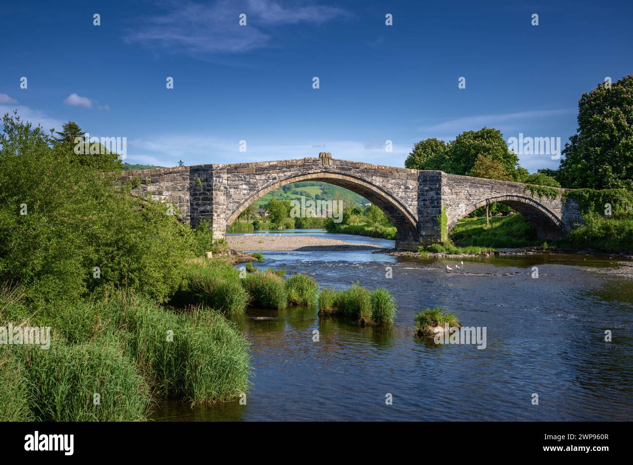 Pont Fawr, ponte a tre archi sul fiume Conwy presso Inigo Jones, Llanrwst, Galles Foto Stock