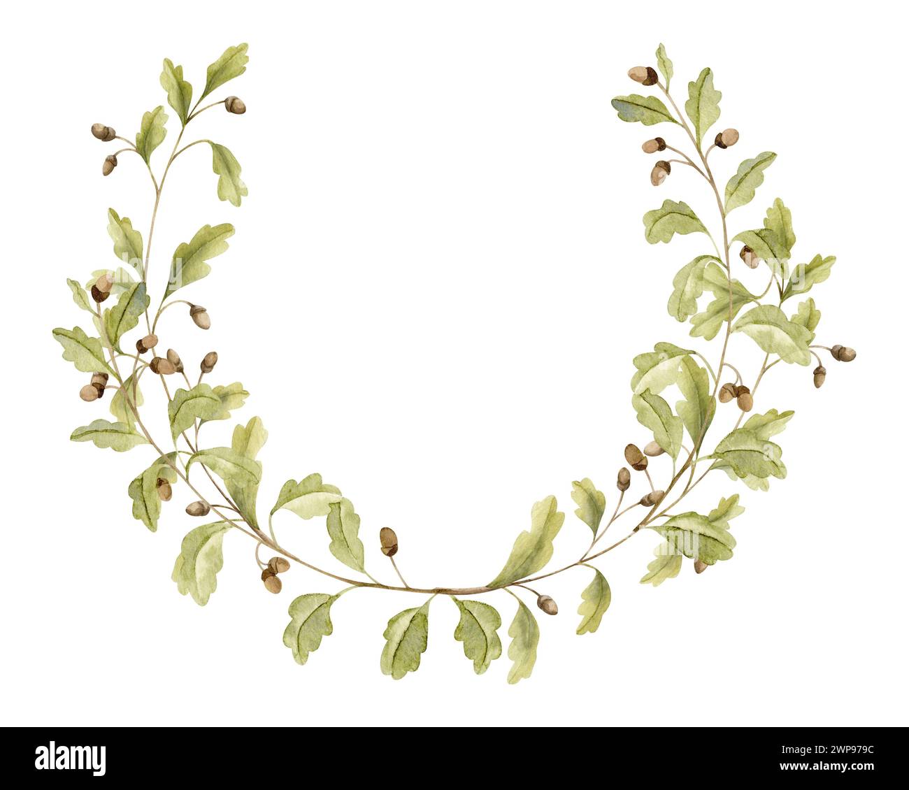 Oak Branch Wreath. Illustrazione ad acquerello disegnata a mano della cornice rotonda con ghiande e foglie verdi su sfondo bianco isolato. Bordo circolare con fogliame forestale per icone, logo o biglietti d'auguri. Foto Stock