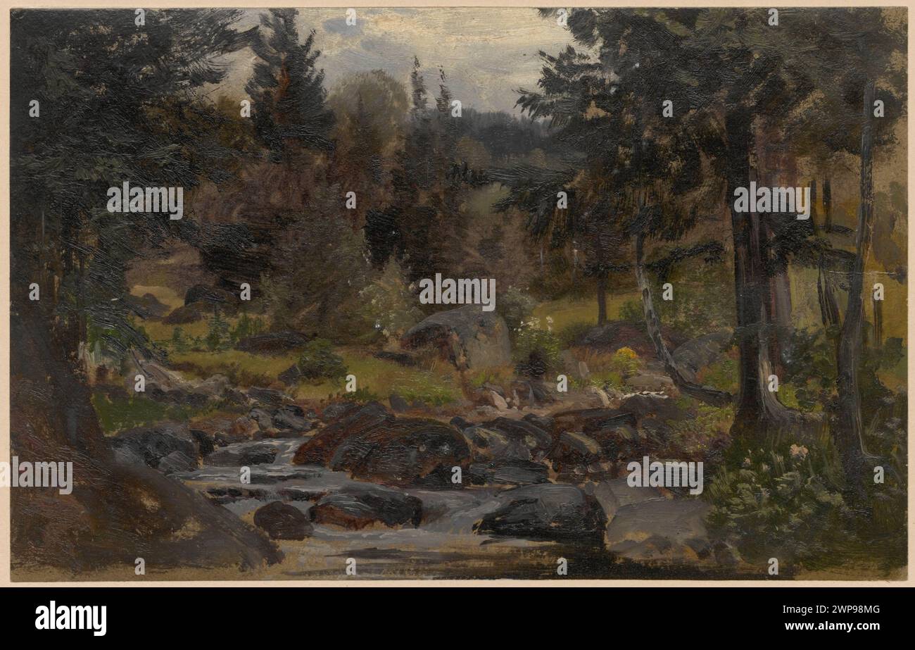 Ruscello che scorre a Przesieka, montagne di Karkonosze, illustrato da Adolf Dressler (1850-1881). L'opera d'arte presenta paesaggi forestali, ruscelli e terreni montuosi in disegni tedeschi. Foto Stock