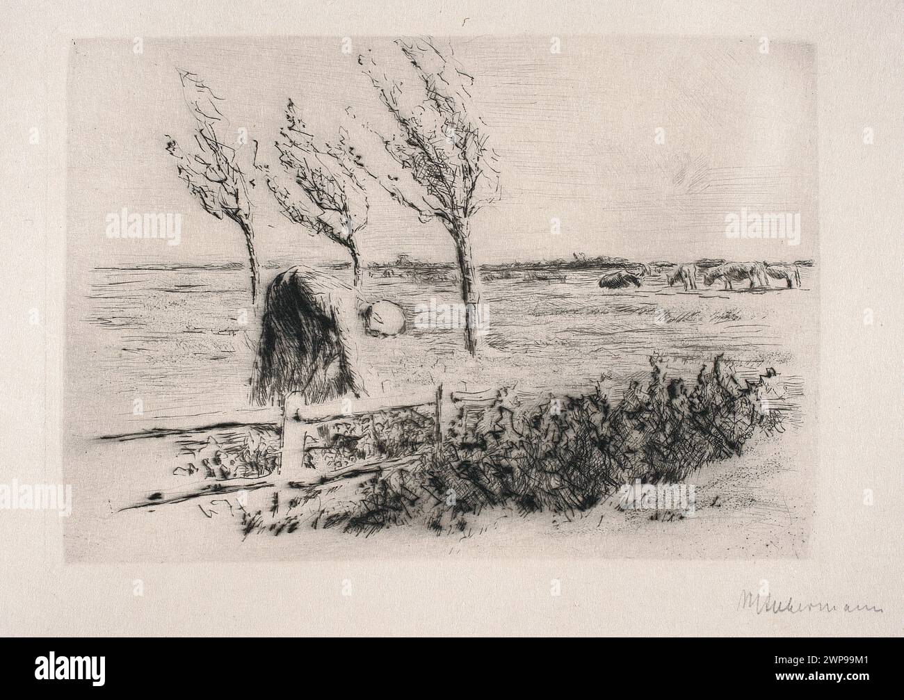 Questo dipinto modernista di Max Liebermann del 1894 raffigura un paesaggio rurale olandese con una recinzione e contadini attivi, parte della collezione Schlesisches Museum der Bildenden Künste. Foto Stock Questo dipinto modernista di Max Liebermann del 1894 raffigura un paesaggio rurale olandese con una recinzione e contadini attivi, parte della collezione Schlesisches Museum der Bildenden Künste. Foto Stock