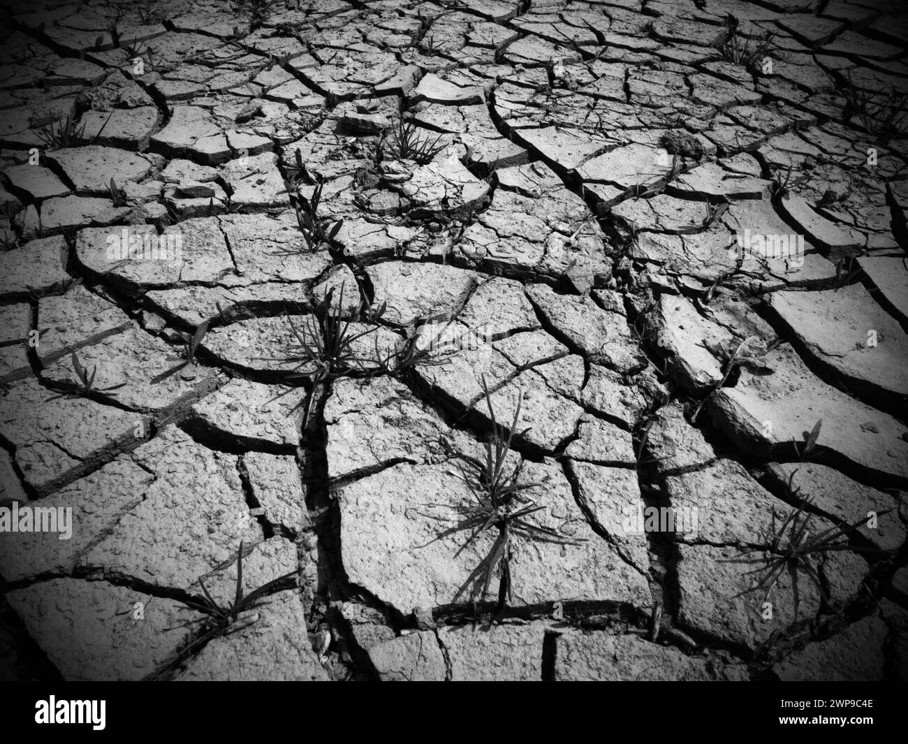 Profonde crepe nel terreno come simbolo del clima caldo e della siccità. Deserto e terreno incrinato. Terreno irregolare e gonfio. Tema ecologico e naturale Foto Stock