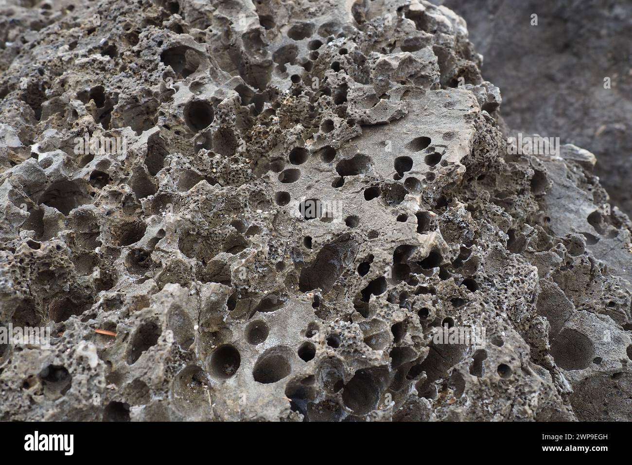 Pietre vulcaniche. Materiale in pietra porosa, arioso e sfuso, cellulare spugnoso. Primo piano di roccia vicino a Meljine, Herceg Novi, Montenegro. Buchi nella lava solidificata. Grigio Foto Stock