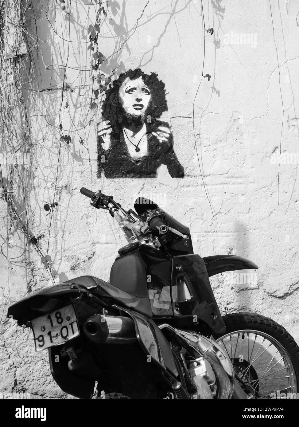 Lisbona, Portogallo - 23 aprile 2015: Ritratto dei graffiti della cantante Fado Amalia Rodrigues, conosciuta come "Regina del Fado". Foto storica in bianco e nero. Foto Stock