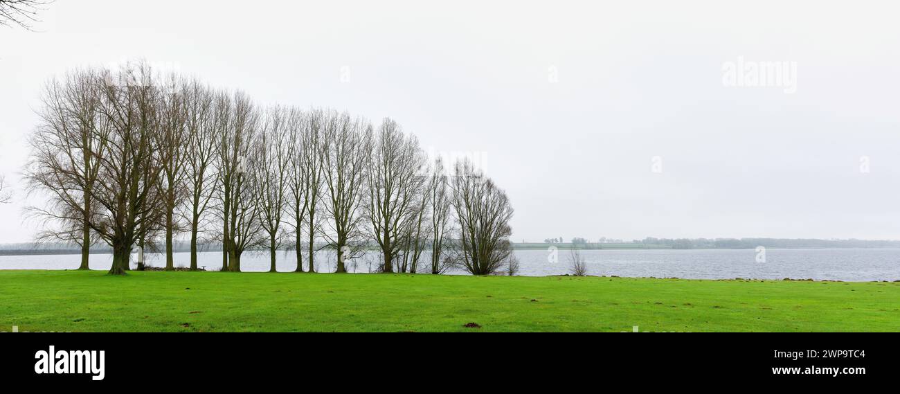 Ammasso di alberi sulla riva di un lago in una giornata grigia, nebbiosa e triste d'inverno. Foto Stock
