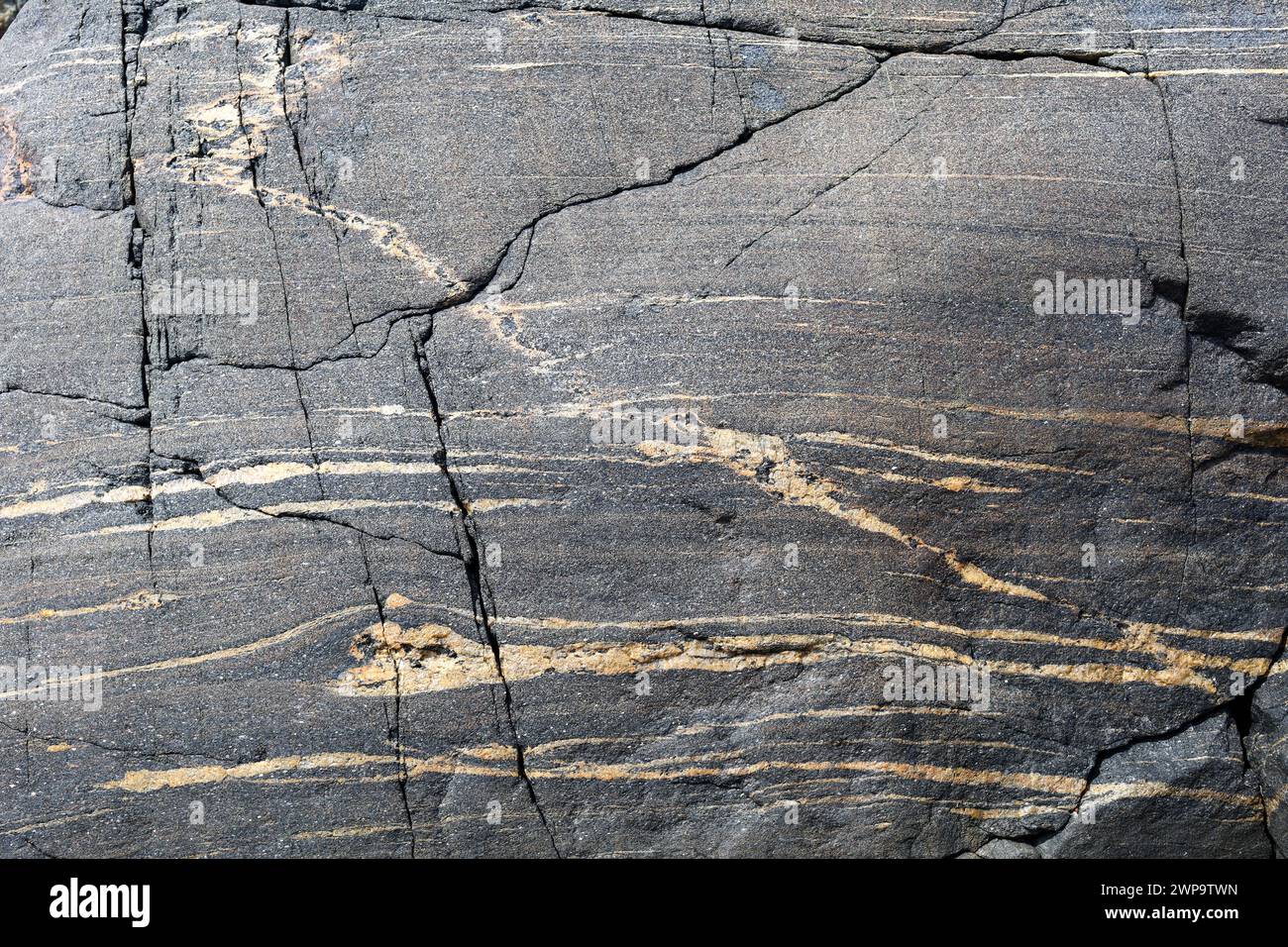 Particolare della roccia granitica nella regione costiera occidentale della Svezia, Scandinavia Foto Stock
