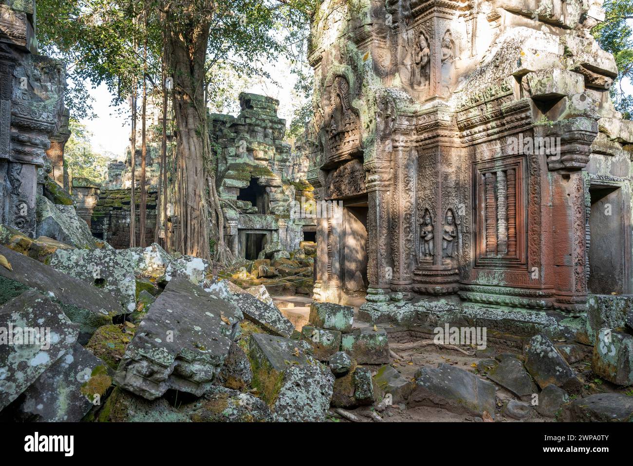 Rovine del complesso del tempio di Ta Prohm, vicino al complesso di Angkor Wat, Siem Reap, Cambogia Foto Stock