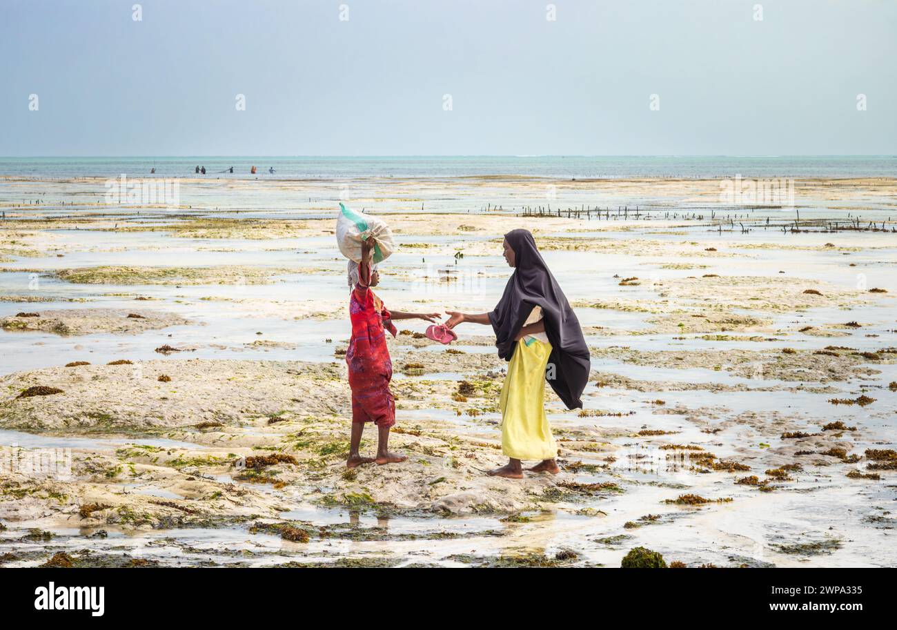 Una giovane ragazza porta un sacco di alghe (Eucheuma denticulatum) sulla testa mentre la madre passa le sue infradito, Jambiani Beach, Zanzibar, Tanzania. Foto Stock