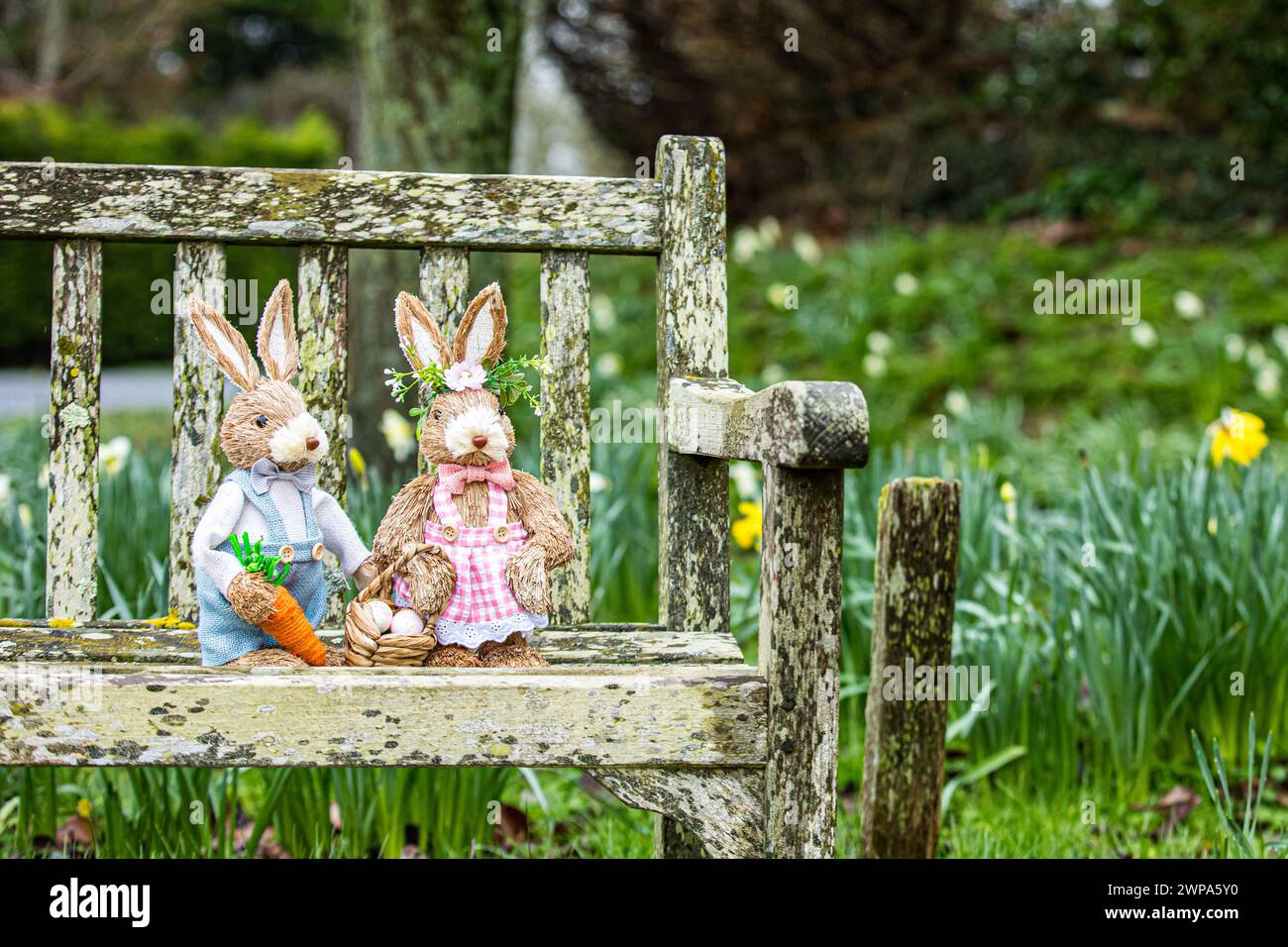 Simpatici conigli giocattolo in ambientazioni boschive tra nevi e narcisi. Ideale per la pasqua o per libri o foto per bambini. Foto Stock