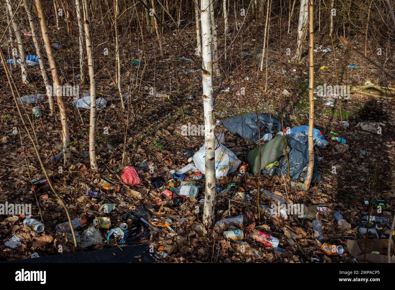 Sacche poubelle; bouteilles plastiques de soda; déchets; cannette au détour d'un boschetto | sacchetto per rifiuti, sacchetto per rifiuti, lattina; bottiglia di plastica; rifiuti Foto Stock