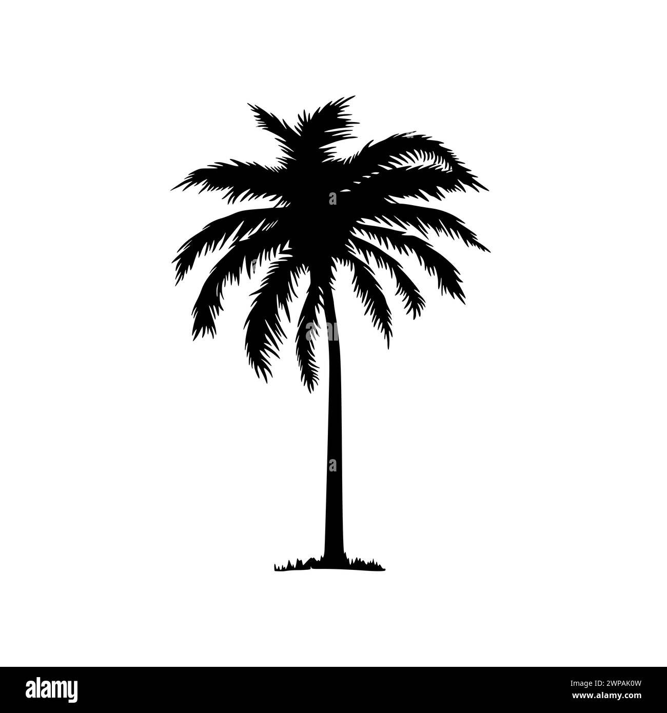 Icona albero di palma. Palmo nero con silhouette in cocco isolato su sfondo bianco. Palma da cocco per progettare stampe estive. Alberi di Palmetto. Linea astratta Illustrazione Vettoriale