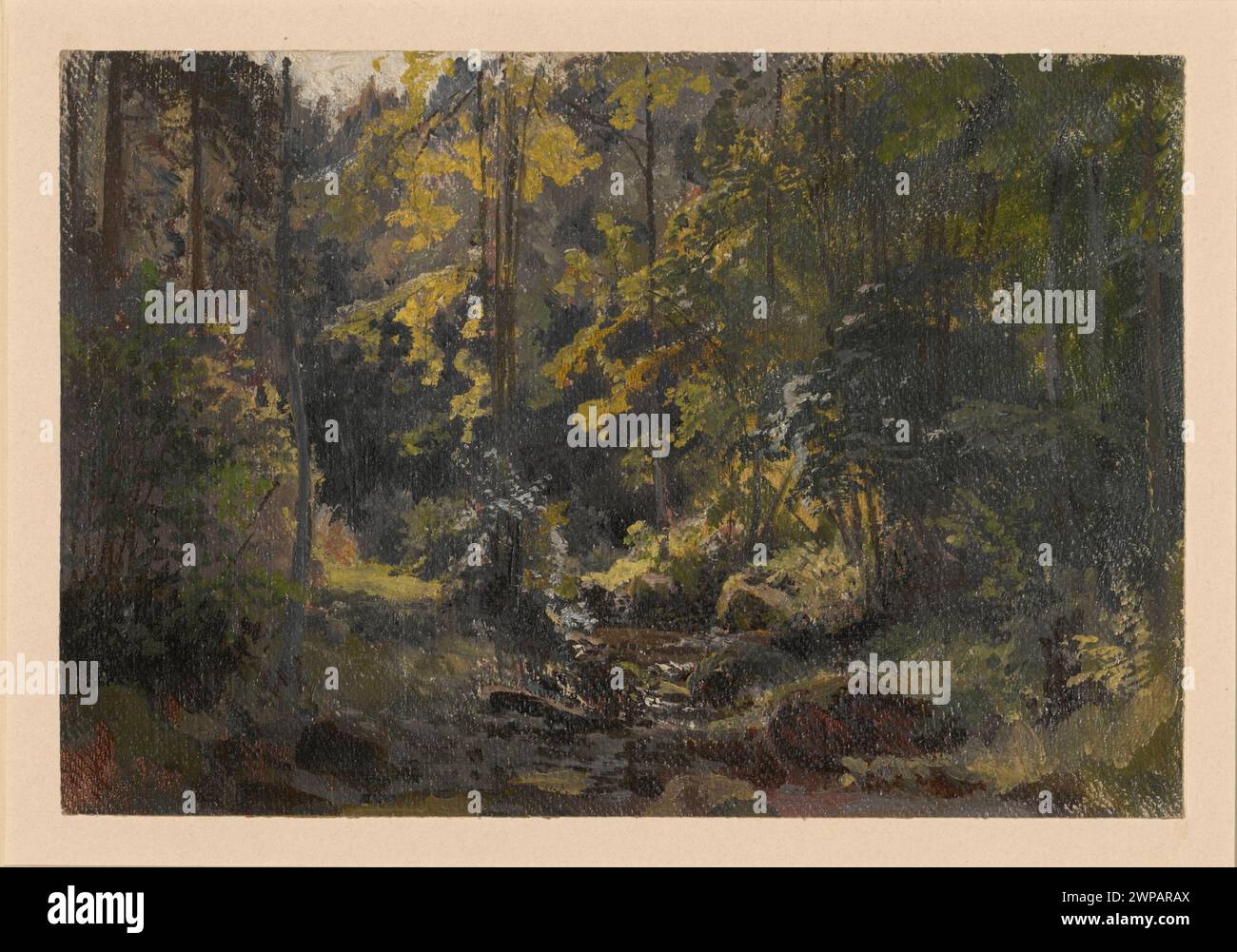 Questo disegno di Adolf Dressler raffigura un procione in un paesaggio boscoso sopra Szczawnik, una valle di montagna nella regione di Karkonosze in Polonia. Mostra alberi, ruscelli e caratteristiche naturali della valle. L'opera faceva parte della collezione Schlesisches Museum der Bildenden Künste a Wrocław tra il 1880 e il 1945. Foto Stock