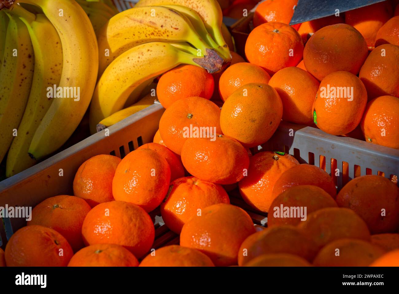 Una stalla di frutta e verdura in un mercato della Provenza (fragole, limoni, lattuga, pomodori, ecc.) Foto Stock