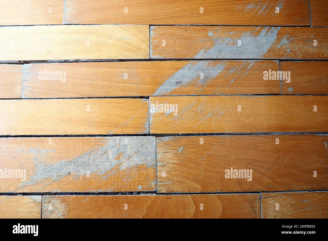 Il pavimento in parquet vecchio e graffiato necessita di manutenzione. Il parquet è danneggiato dai graffi causati da un uso prolungato Foto Stock