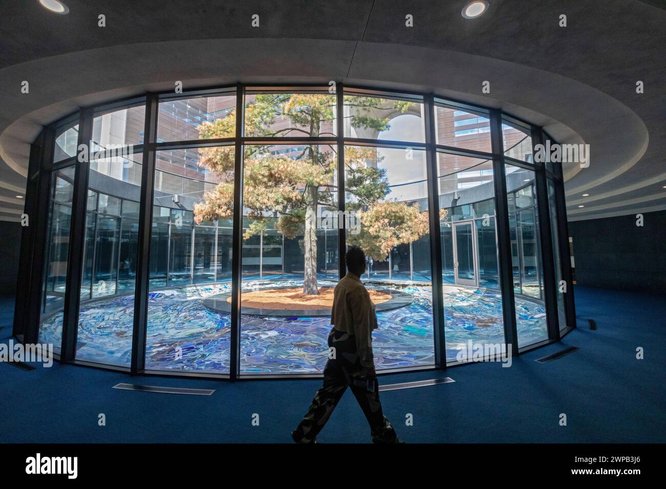 Lansing, Michigan - Museo di storia del Michigan. Un pino bianco (Pinus strobus), l'albero statale del Michigan, cresce al centro dell'edificio. Foto Stock