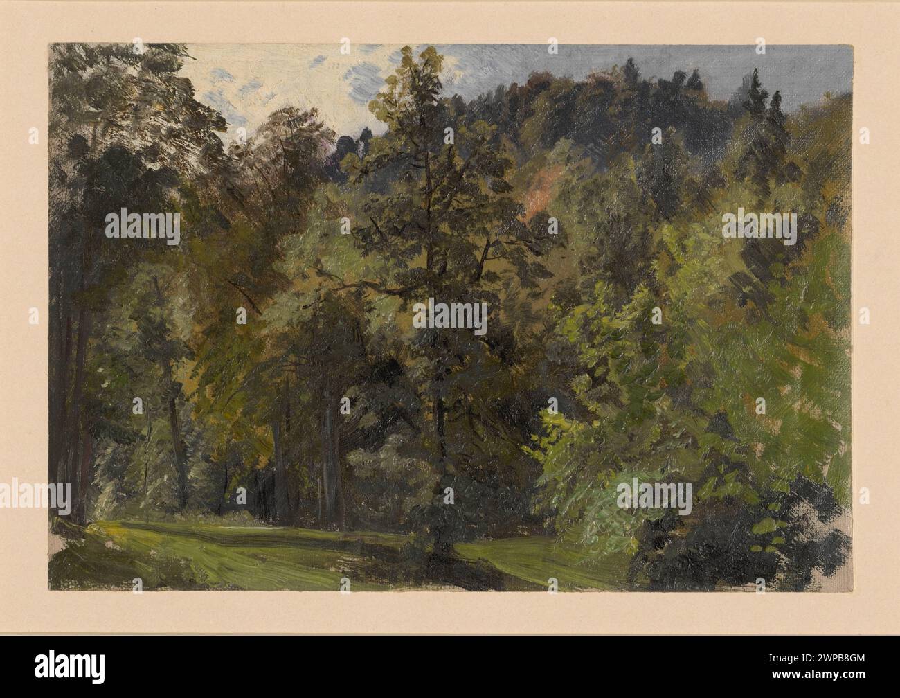 Illustrazione del paesaggio forestale di Adolf Dressler, 1850-1881, che mostra alberi e ruscelli di montagna nella valle di Szczawnik, parte della collezione Schlesisches Museum der Bildenden Künste, compresi disegni tedeschi e studi di paesaggi di montagna. Foto Stock