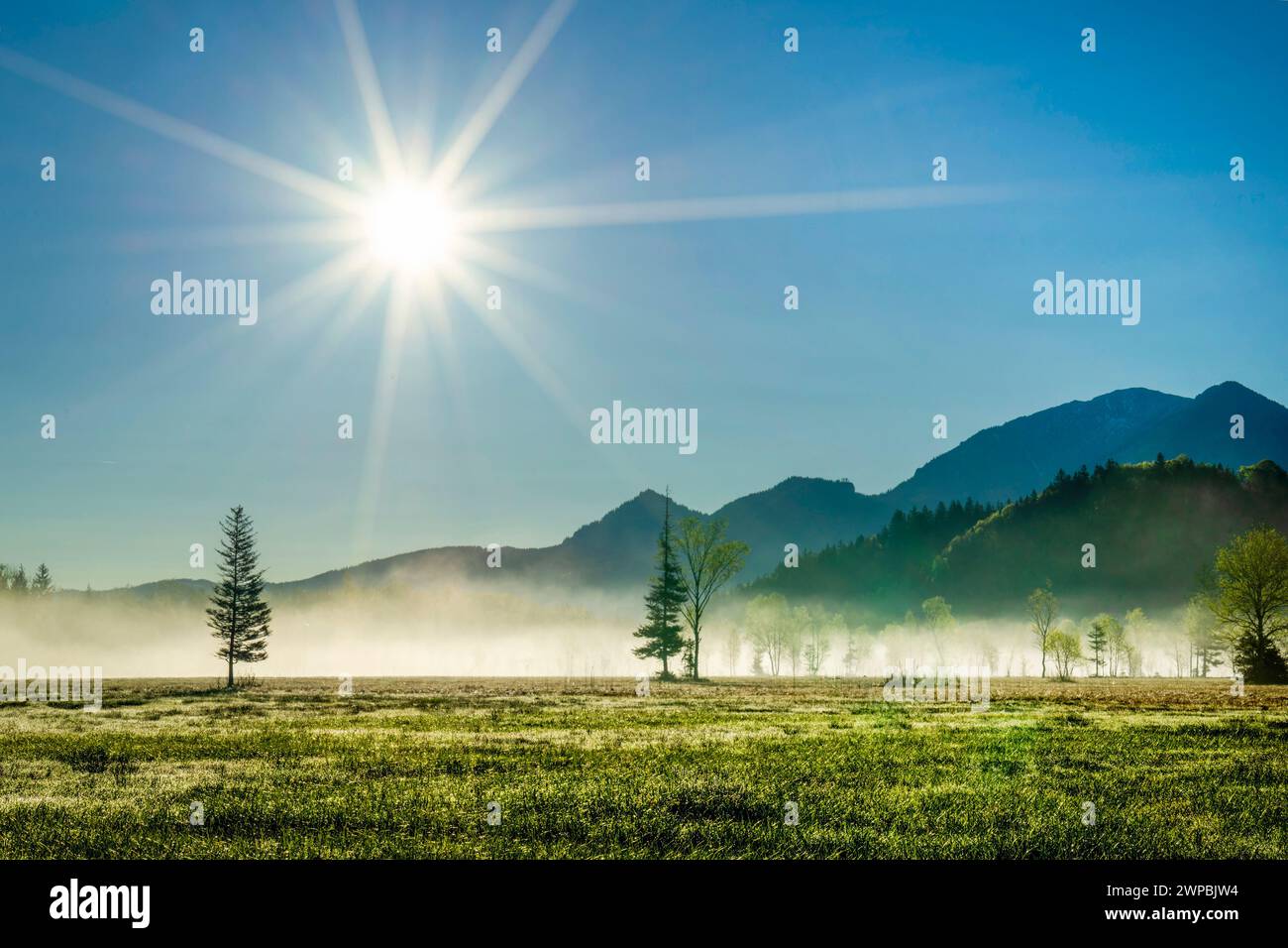 Nebbia a terra nel Murnauer Moos al mattino, le montagne Ester sullo sfondo, Germania, Baviera, Murnauer Moos Foto Stock