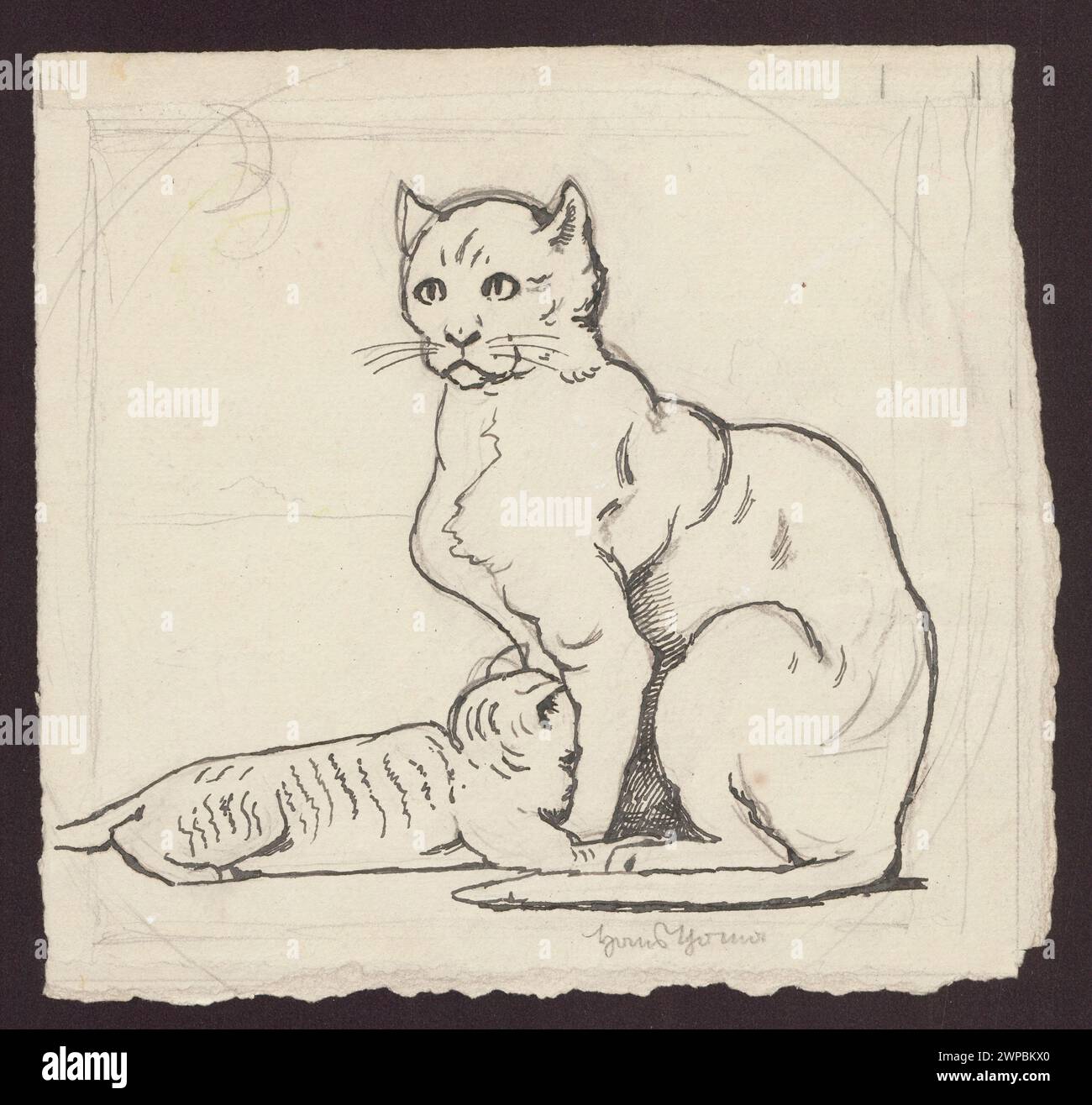 Studio di un gatto di Hans Thoma, incentrato sull'anatomia e la postura, creato tra il 1860 e il 1924. Foto Stock