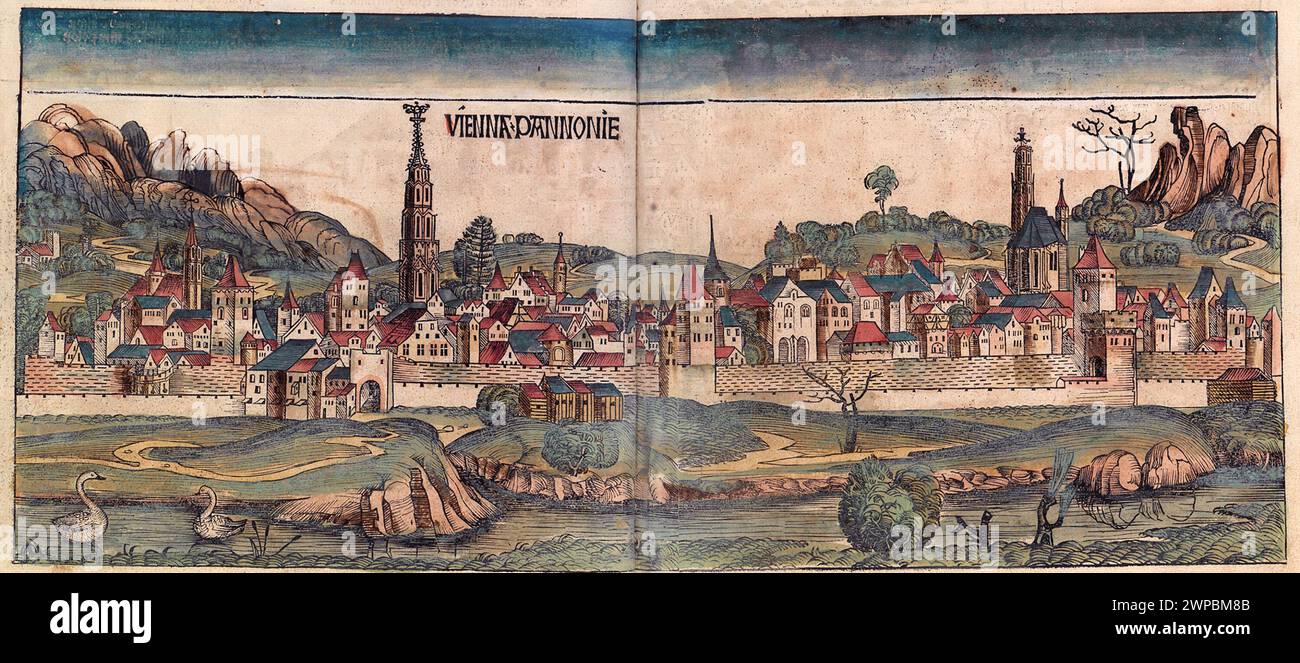 Una bella boscaglia del 1493 della città di Vienna in Austria. Questa illustrazione proviene dalla Cronaca di Norimberga, che è un'eniclodpedia degli eventi mondiali, della mitologia e della storia cristiana. Questo lavoro extra-ordinario è stato uno dei primi libri mai stampati e il primo a integrare con successo testo e immagini. Foto Stock