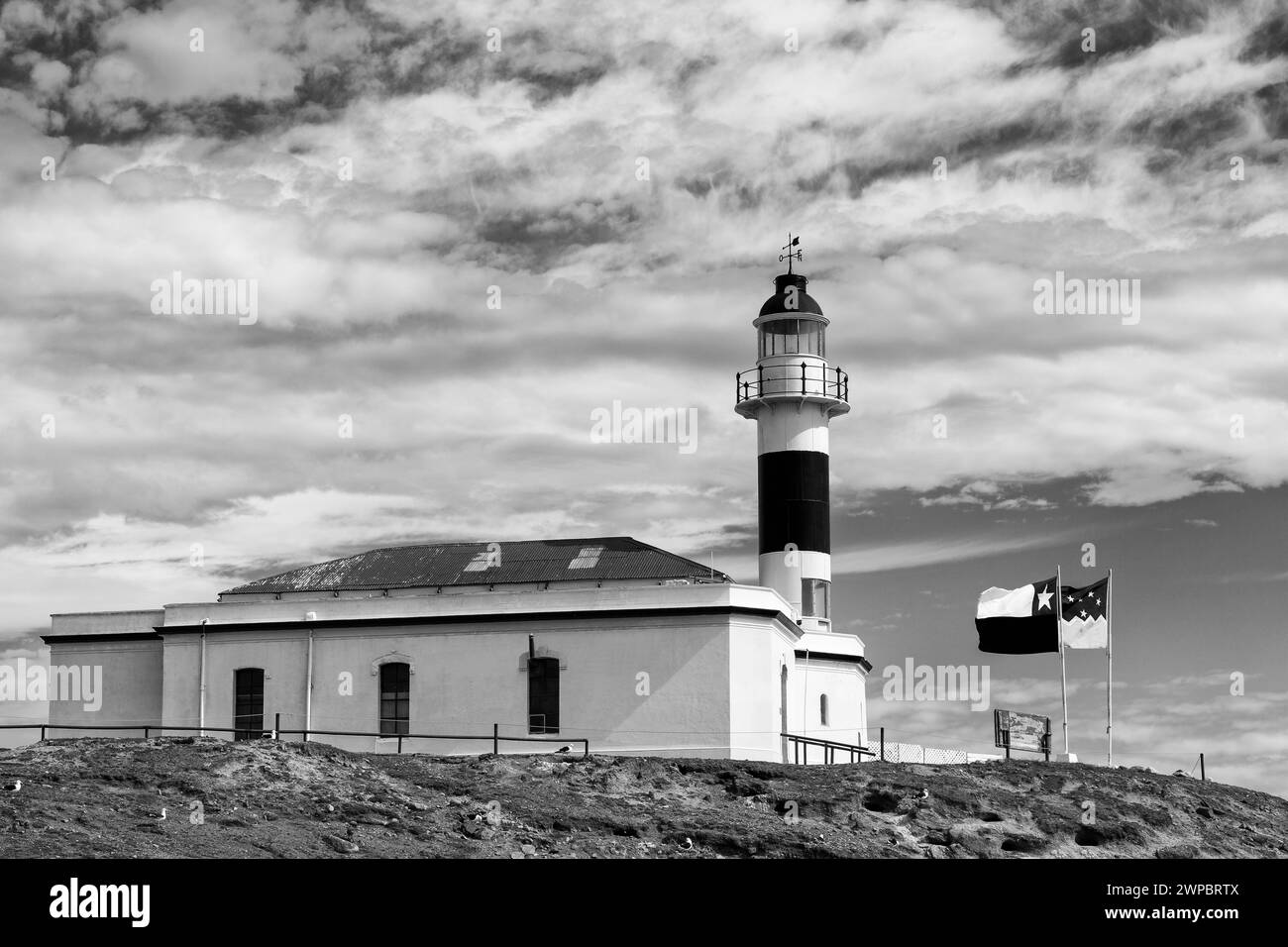 Faro dell'isola di Magdalena, stretto di Magellano, regione di Magallanes, Cile, Sud America Foto Stock