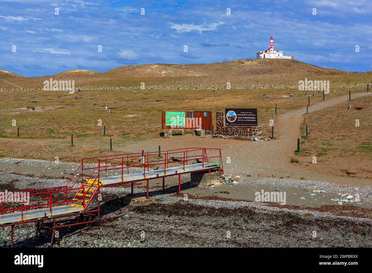 Faro dell'isola di Magdalena, stretto di Magellano, regione di Magallanes, Cile, Sud America Foto Stock