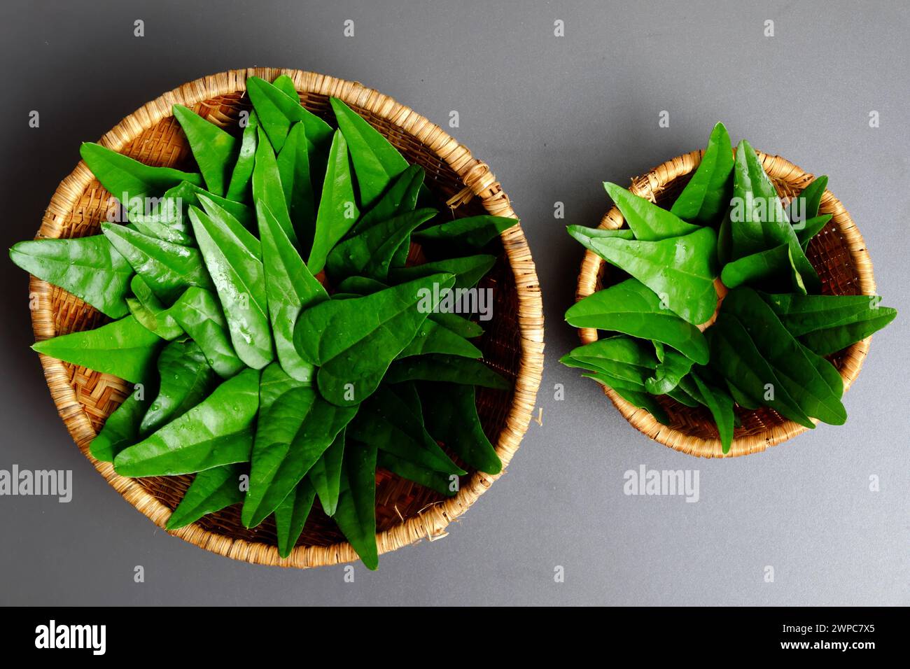 Gelatina verde appena raccolto dal giardino sul tetto, materia prima per bevande salutari nelle calde giornate estive Foto Stock