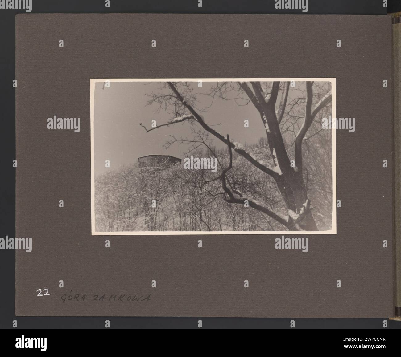 La fotografia di Edmund e Boles Zdanowscy cattura il monte Zamkowa a Vilnius durante l'inverno, mostrando colline innevate, alberi e parti della città negli anni '1930 Foto Stock