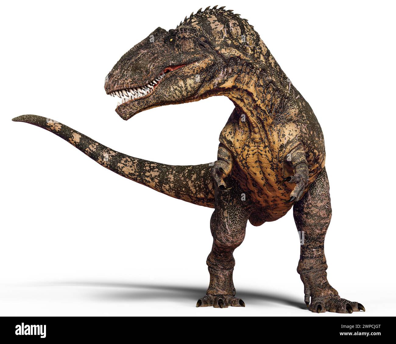 Gigantosaurus è un genere dubbio di dinosauro sauropode della formazione Kimmeridge Clay del Giurassico superiore in Inghilterra. Foto Stock