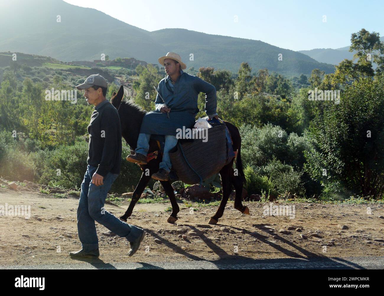 Un uomo marocchino che cavalca il suo asino in Marocco. Foto Stock