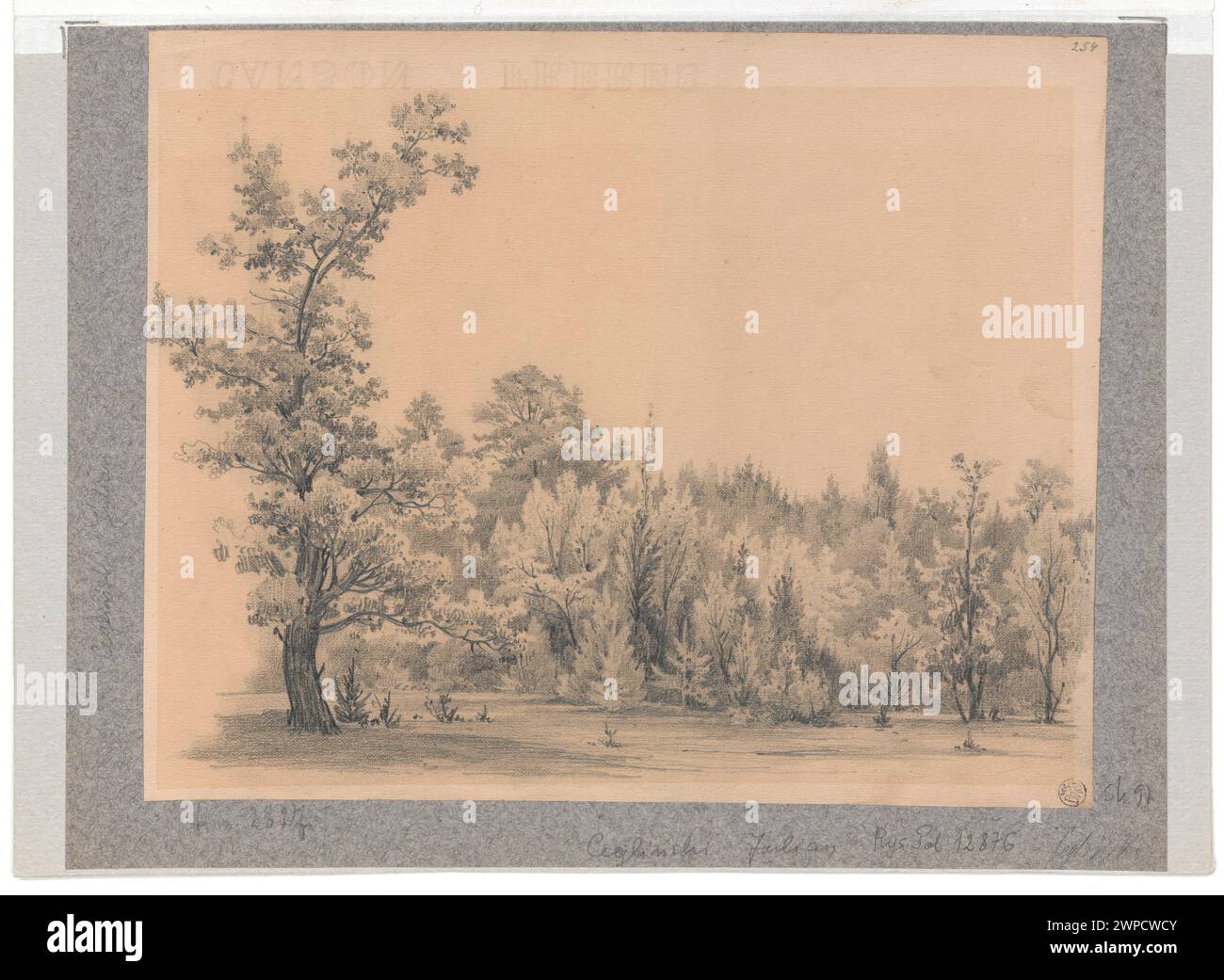 Paesaggio che mostra il bordo della foresta con alberi e vegetazione, parte della collezione di Dominik Witke-Jeżewski su carta Canson, acquisita dopo il 1850. Foto Stock